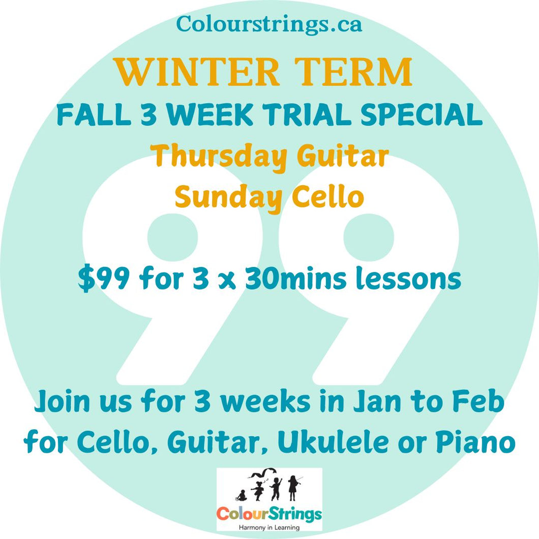 B. INSTRUMENTAL 3 WEEK TRIAL SESSION - JAN INTO FEB