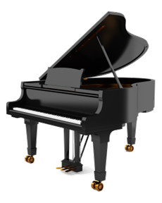 Piano Accompanist (for selected students only)